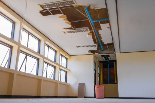 Best Mold removal after water damage  in Mount Carmel, PA