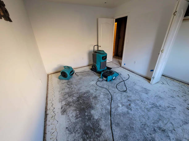 Best Water damage restoration near me  in Mount Carmel, PA