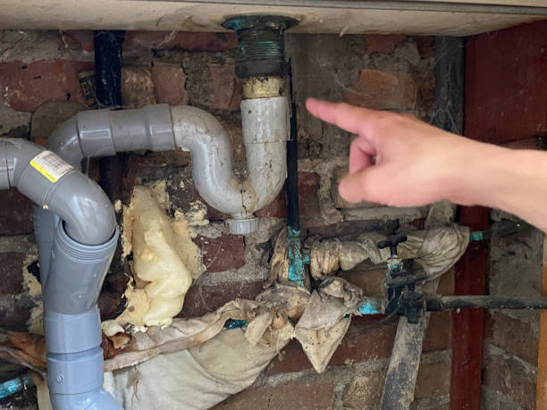 Best Local water damage restoration  in Mount Carmel, PA